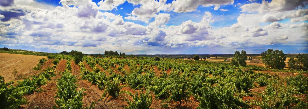 Posada Real Del Buen Camino Villanueva de Campean Экстерьер фото
